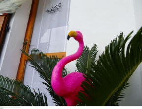Casa Flamingo House San Teodoro
